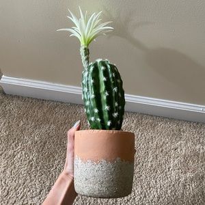 Artificial Cactus Decoration